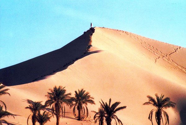 Dune à Timimoun